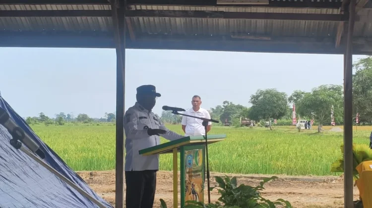 Kabupaten Nabire Terus Berupaya Menghadirkan Inovasi di Sector Pertanian