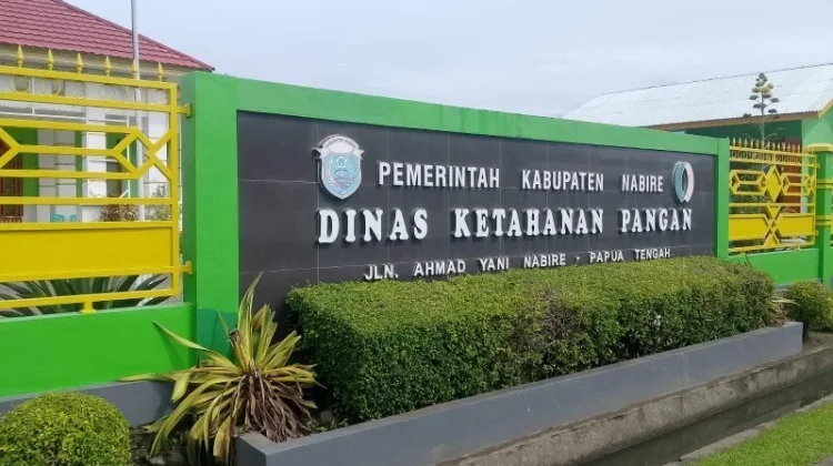 Dinas Ketahanan Pangan Nabire Lalukan Upaya Stabilisasi Pasokan dan Harga Pangan