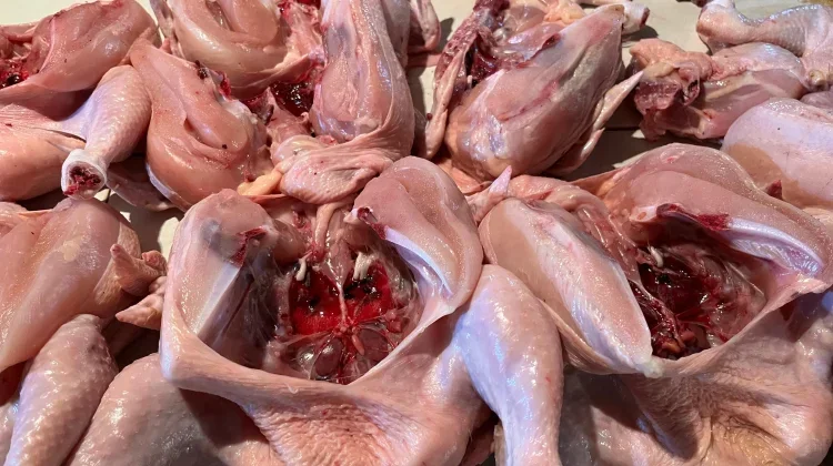 Harga Ayam Naik di 188 Daerah, BPS Beri Peringatan