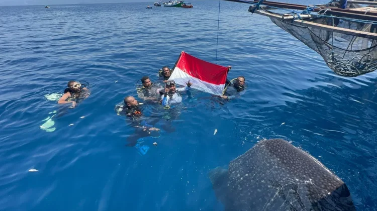Merah Putih Berkibar di Habitat Hiu Paus, Pesan Kemerdekaan dari Teluk Cendrawasih