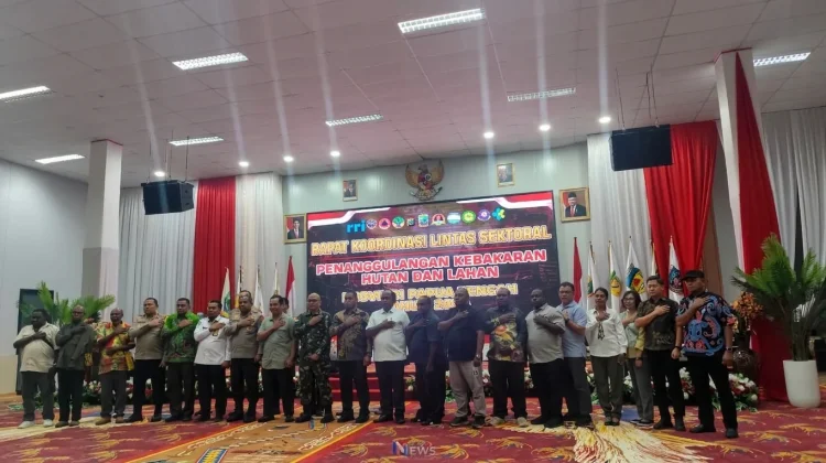 El-Nino Picu Risiko Karhutla, Pemprov Papua Tengah Siapkan Langkah