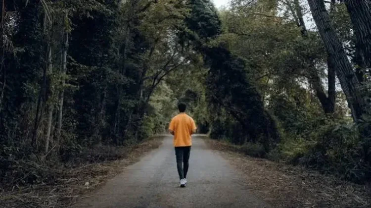 Jalan Kaki Setiap Hari, Apa Manfaatnya bagi Tubuh?