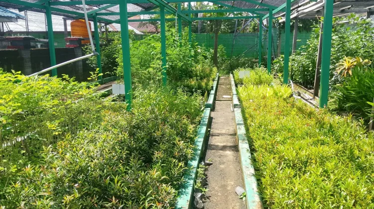 DLHKP Kembali Ajak Warga Menjaga Kelestarian Lingkungan