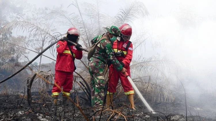 Hotspot Karhutla Menurun, Kemenhut Terus Perkuat Penanganan