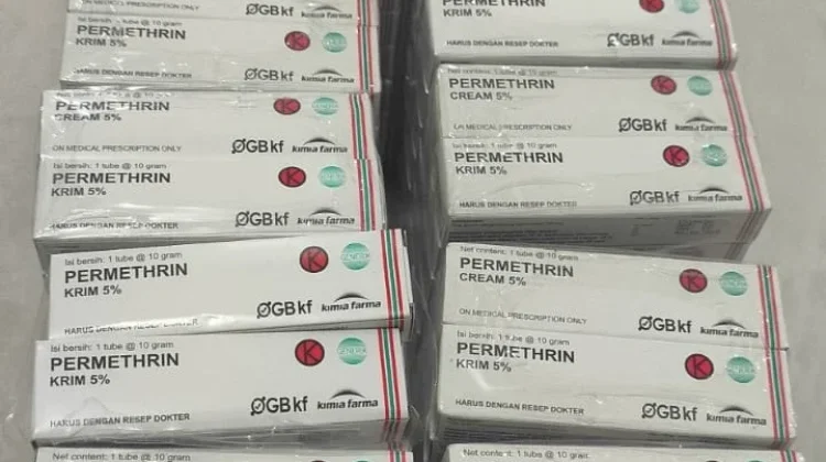 Dinkes Papua Tengah Perkuat Penanganan Skabies di Mewoluk
