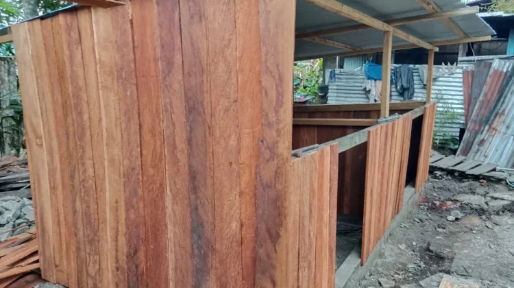 Kepala Suku Besar Meepago Apresiasi Bantuan Ternak Babi dari Pemerintah Pusat