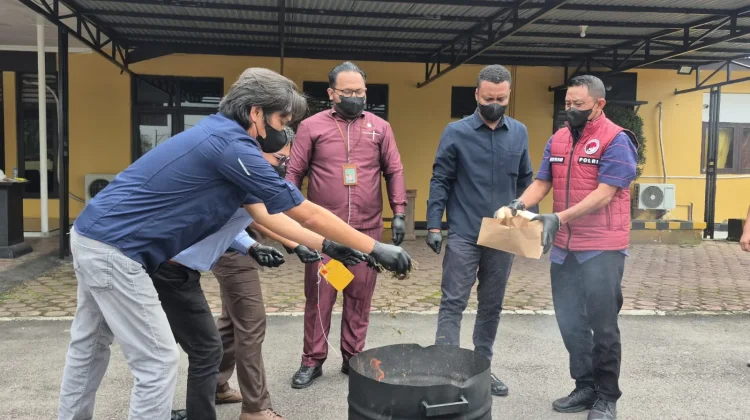161,37 Gram Ganja Tak Sampai Beredar, Polisi Mimika Musnahkan Barang Bukti