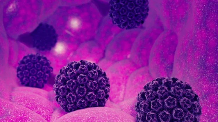 Penularan HPV Berjalan Dua Arah, Pria juga Berperan dalam Penyebaran Virus