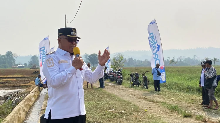Wabup Nabire Buka Percepatan Gerakan Tanam Padi Modern PM-AAS, 500 Hektar Nabire