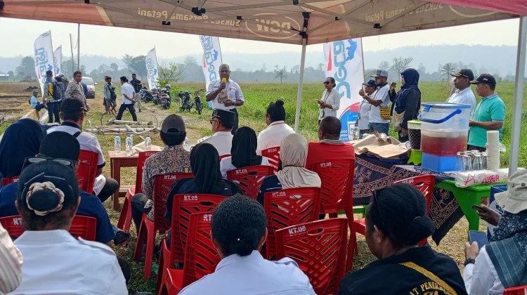 Dinas Pertanian Kabupaten Nabire Gelar Percepatan Penanaman Padi PM-AAS