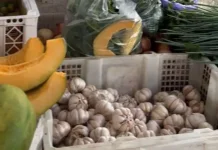 Stok Aman, Harga Diawasi: Strategi Nabire jelang Ramadan