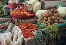 Update Harga Pangan Kabupaten Nabire, 18 Februari 2026