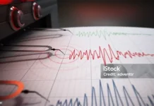 BMKG Nabire Catat 37 Gempa Terjadi Selama Sepekan