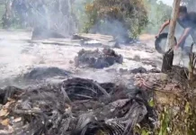 Serangan Pos Biha Lagari Tewaskan Dua Orang