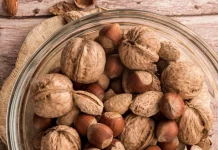 Buah Cola, Sumber Kafein Alami dari Afrika yang Kini Mendunia