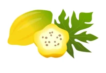 Carica, Buah Eksotis dari Dataran Tinggi Dieng yang Kian Diminati