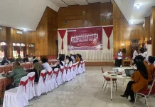 FGD IDI 2025, Papua Tengah ukur demokrasi secara mandiri