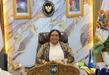 Wamendagri, Dana Otsus Papua 2026 Cair ke 16 Daerah