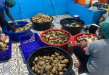 BGN Jelaskan Insentif Rp6 Juta per Dapur Program MBG