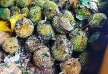 Buah yang Sebaiknya Dihindari saat Berbuka Puasa