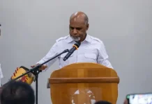 Deinas Geley Tegaskan Arah Baru Ekonomi Papua tengah