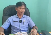 Wujudkan Kota Wisata DLH Percantik Wajah Kota Nabire