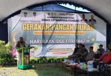 Pemkab Nabire Berupaya Mengendalikan Inflasi Daerah