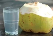 Tips Memanfaatkan Air Kelapa untuk Menjaga Kesehatan