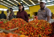Harga Cabai Rawit di Mimika Tembus Rp120 Ribu/Kg