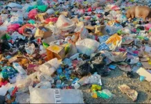 Masyarakat Terus Diedukasi  Kurangi Pengunaan  Kantong Plastik saat Beraktifitas
