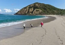 Enam Perlengkapan Wajib dibawa ke Pantai