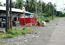 DLH Nabire Pastikan TPS Bersih, Petugas Siaga Selama Lebaran dan Libur Idulfitri