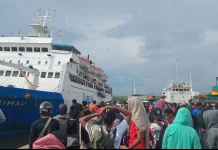Arus Mudik Lebaran di Pelabuhan Timika Naik 7–8 Persen, PELNI Siapkan Tiga Kapal
