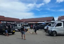 Sopir Terminal Pasar Kalibobo Nabire Gelar Kerja Bakti Bersihkan Sampah