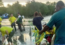 DLHKP PT Mendukung Penuh Aksi Penanaman Pohon,  KBI Papua Tengah