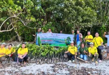 Memperingati HUT ke-67 SAGING  KBI Papua Tengah Ajak Warga Menanam Pohon