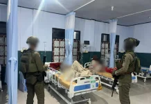 DPO Kasus Penembakan Rombongan Tito Karnavian Th 2012 Dilumpuhkan di Puncak Jaya