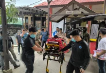 Selama tujuh tahun buron, Pulan Wonda akhirnya dibekuk Satgas Ops Damai Cartenz