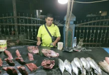 Tangkapan Ikan Berkurang Berdampak pada Harga di Nabire