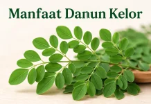 Daun Kelor: Superfood Alami yang Kaya Nutrisi