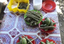Tradisi Mengunyah Sirih & Pinang di Papua dan Manfaatnya bagi Kesehatan