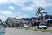 DLH Nabire Melakukan Peremajaan Pohon, Menciptaka Kota  yang Asri
