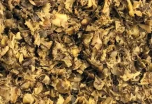 Manfaat Kulit Nanas Kering untuk Detoks dan Imun