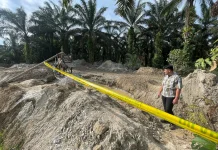 BPK Temukan 356 IUP Bermasalah, Ribuan Tambang Ilegal
