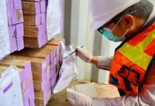Cegah OPTK, Karantina Papua Tengah Periksa 6 Kontainer Kayu Gergajian
