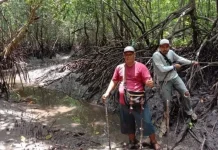 DLHKP PT Ajak Warga Menanam Pohon dan  Menjaga Kelestarian Lingkungan