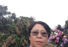 Petani Buah di Nabire Memasuki Masa Panen