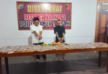 Ganja Lintas Laut Terungkap di Nabire, Dua Terduga Pelaku Diamankan Ditresnarkoba