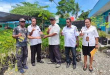 DLHKP PT Kembali Menyerahkan Bantuan bibit tanaman ke Klasis GKI Nabire