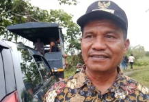 Panen Jagung di Makimi, Pemerintah Distrik Apresiasi Dukungan Polda Papua Tengah